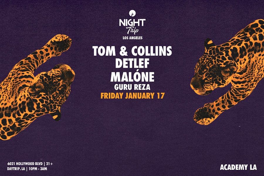 Night Trip: Tom & Collins, Detlef, Malóne