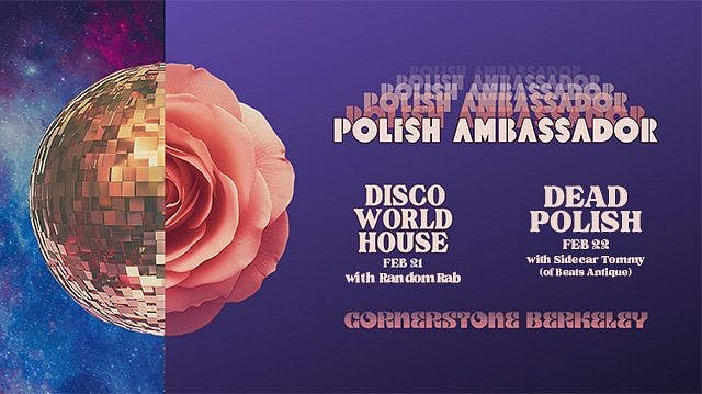 The Polish Ambassador | Night 2