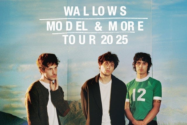 Wallows