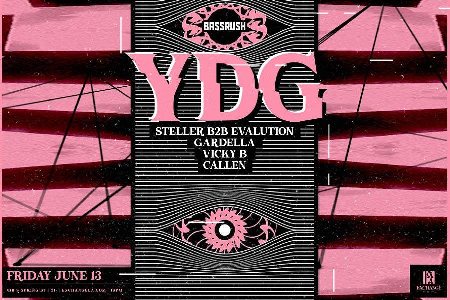 YDG, Steller b2b Evalution