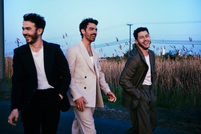 Jonas Brothers - Jonas20:  Living the Dream Tour