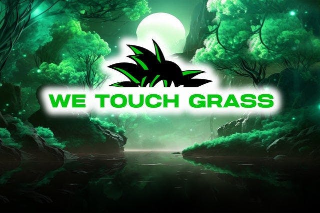 WeTouchGrass presents: Anime Rave
