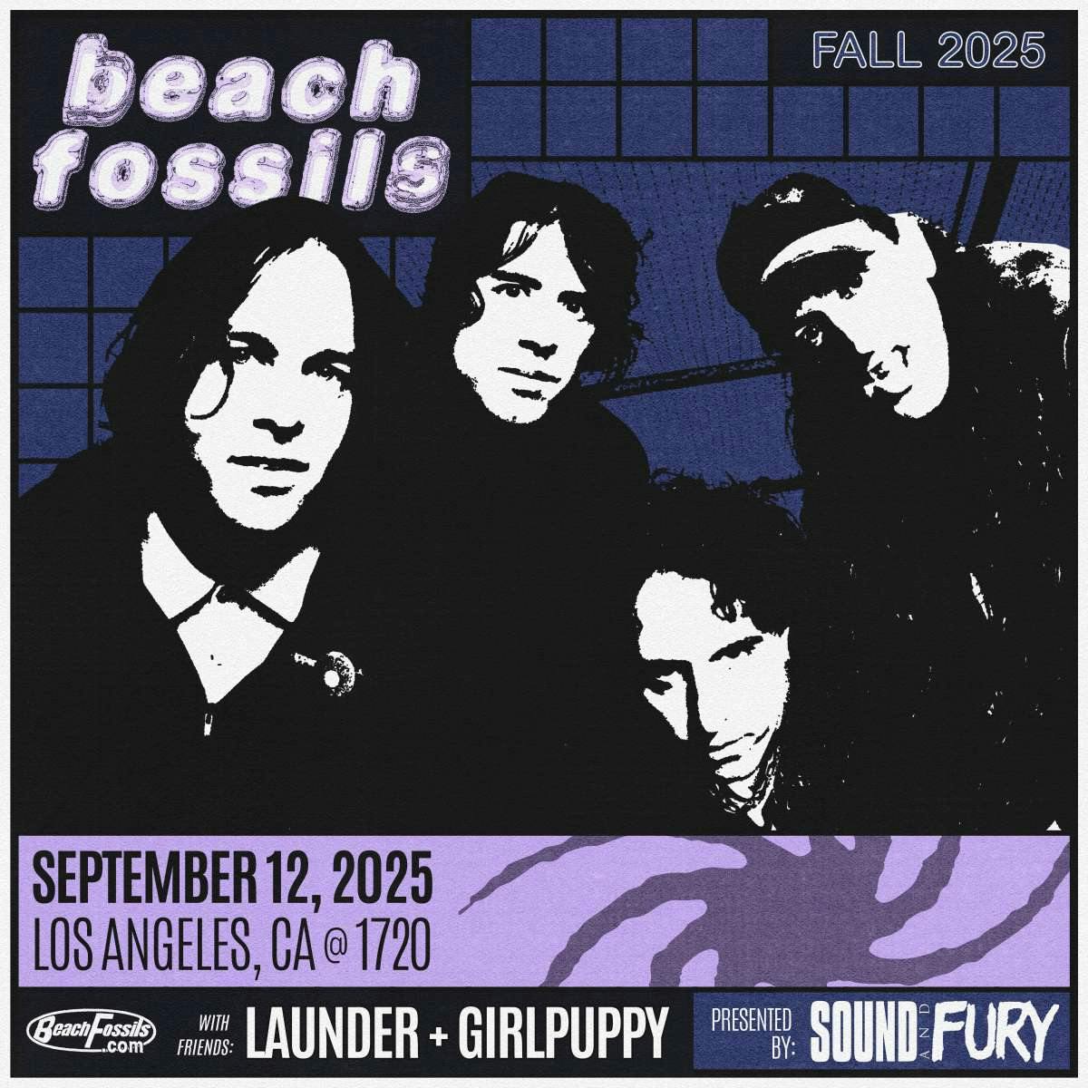 Beach Fossils
