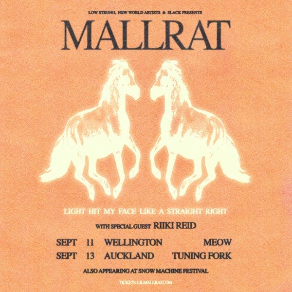 Mallrat - Light Hits My Face Like A Straight Right | Auckland