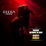 Gekko Lounge