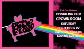 Pete Floyd - Pink Floyd Tribute