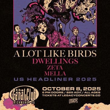 A Lot Like Birds at Canal Club