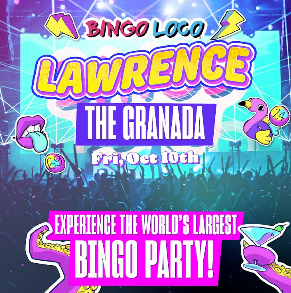 Bingo Loco - Late Show
