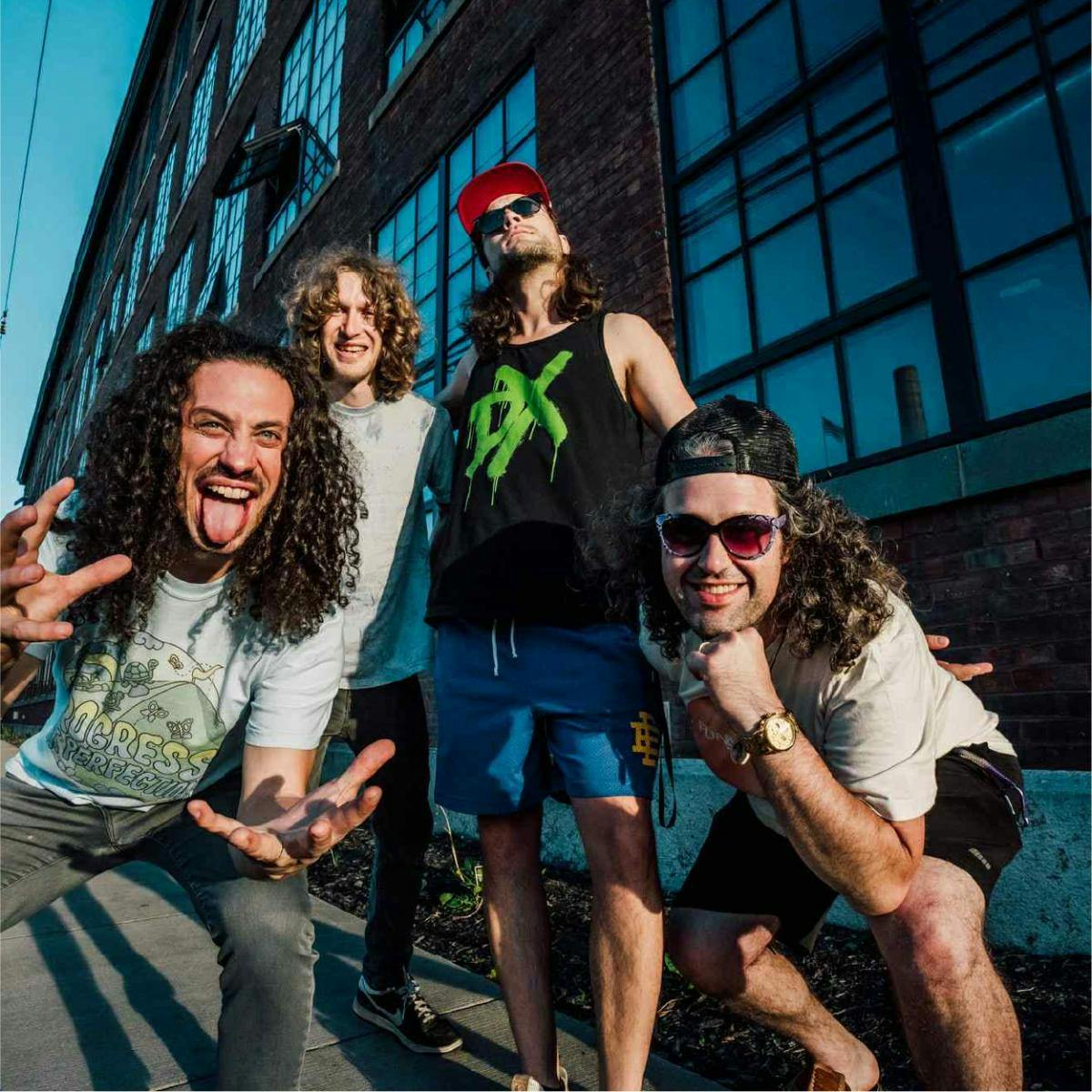 Pigeons Playing Ping Pong