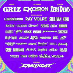 Dancefestopia Music & Camping Festival 2026 Day 4