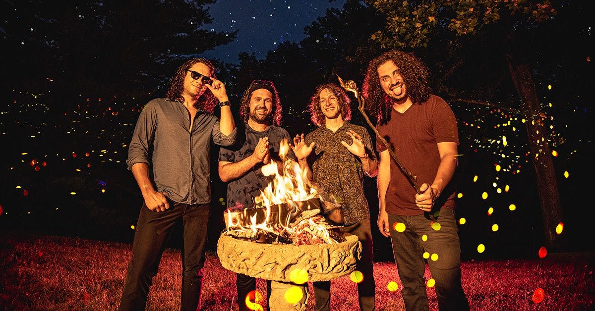 Pigeons Playing Ping Pong