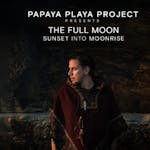 Papaya Playa Project