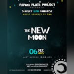 Papaya Playa Project