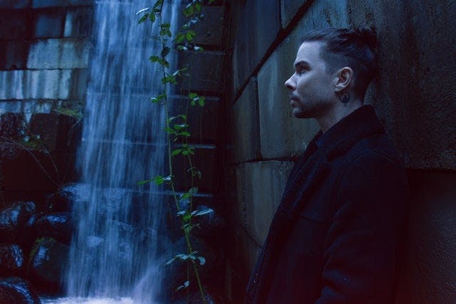 Seven Lions
