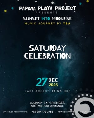 Papaya Playa Project