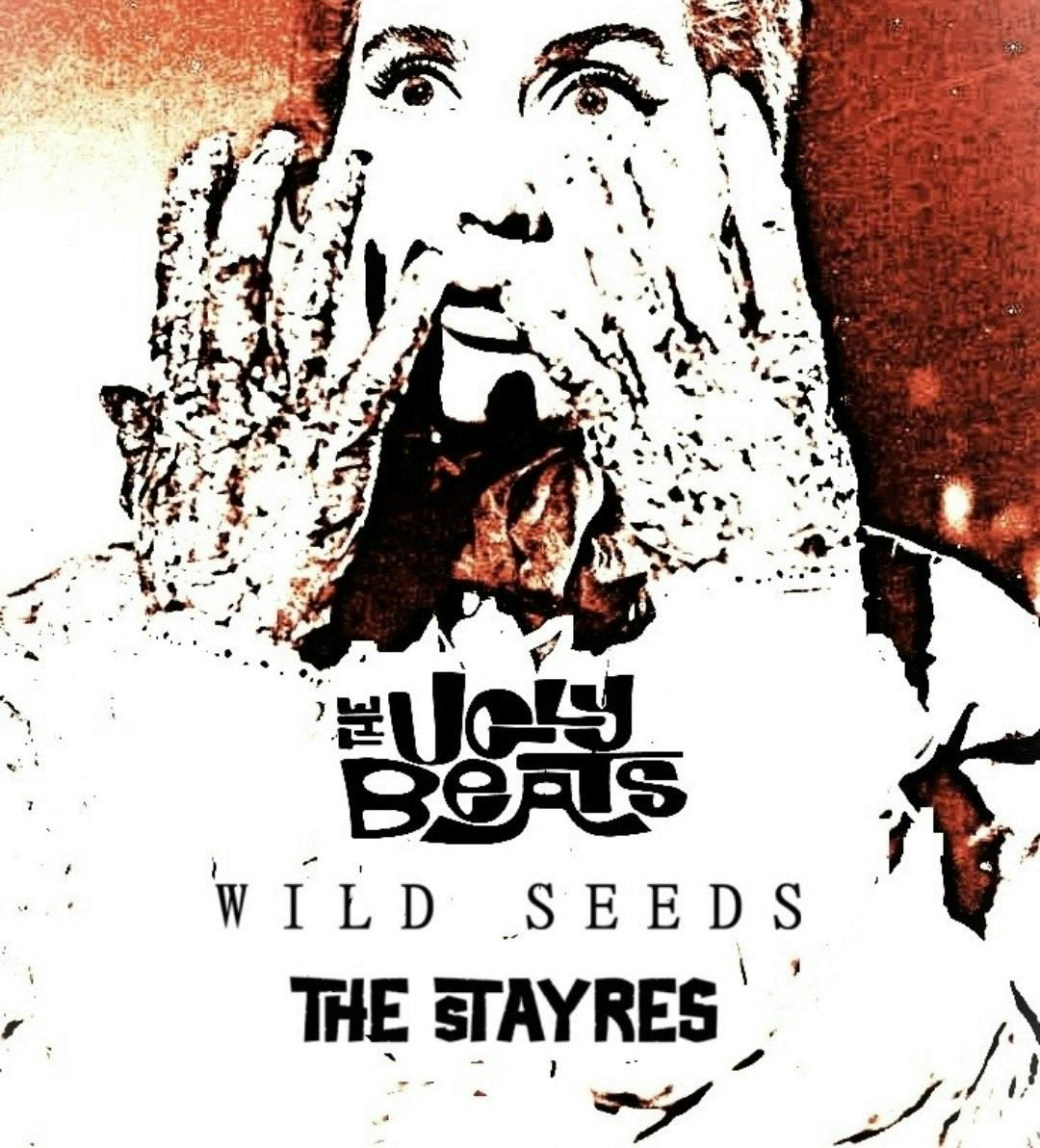 The Ugly Beats, Wild Seeds, The Stayres