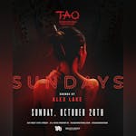 Tao Downtown