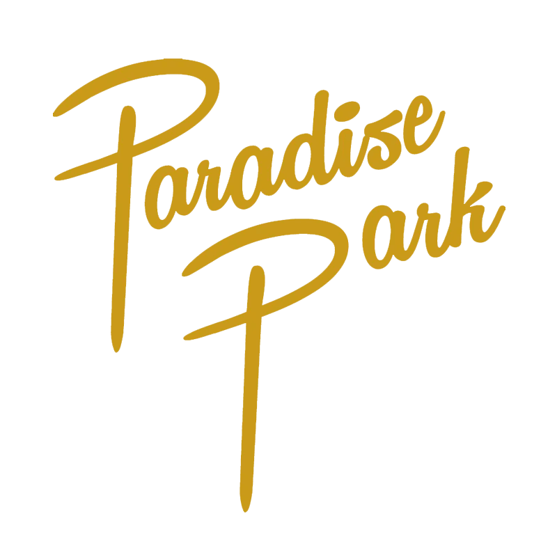 Chicago New Year's Eve