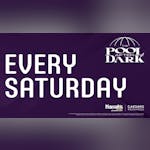 The Pool Dayclub At Harrah's