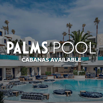 Sammy's Island At Palms Pool
