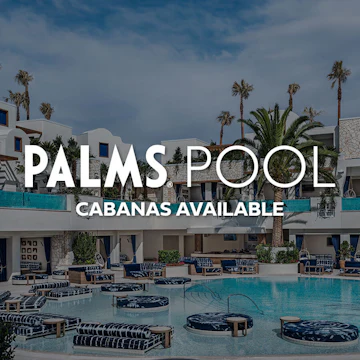 Sammy's Island At Palms Pool