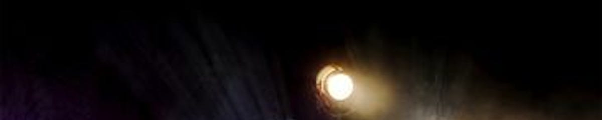 Great American Music Hall