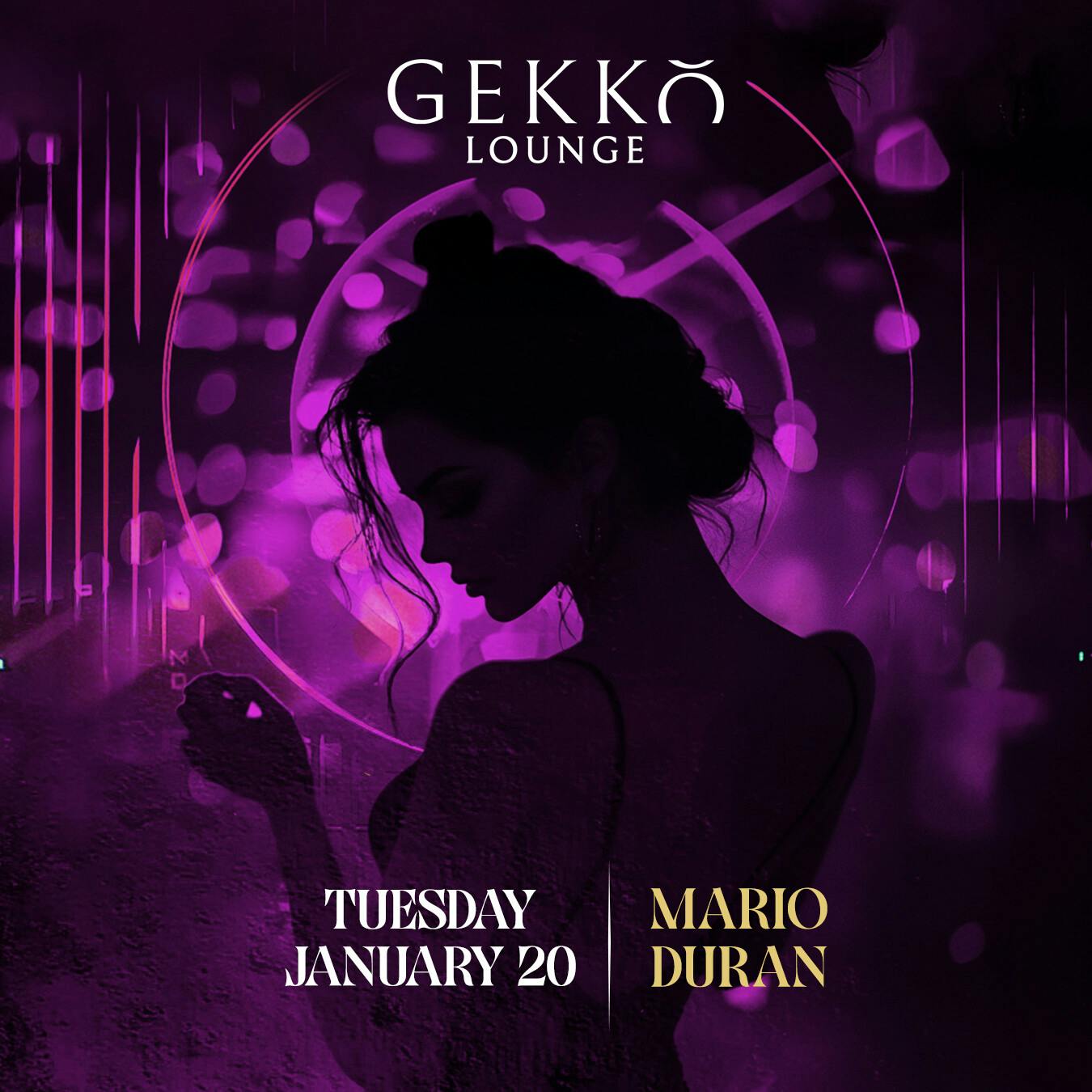 Gekko Lounge