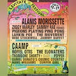 Levitate Music Festival