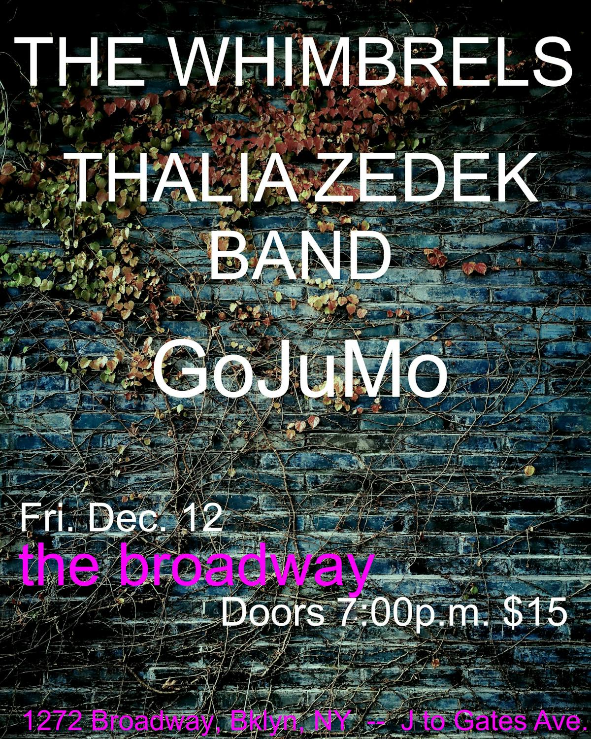 The Whimbrels  w/ Thalia Zedek + GoJuMo