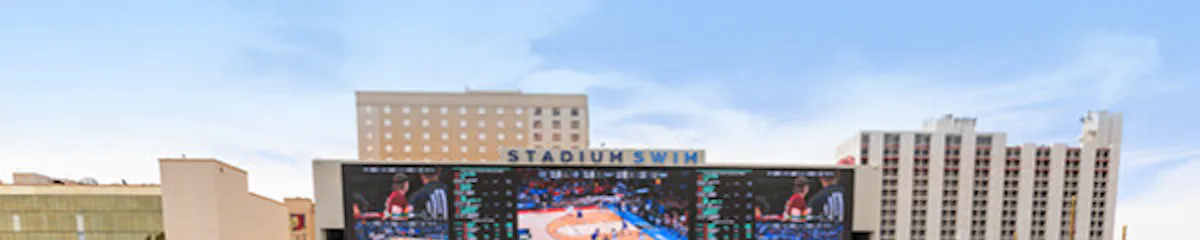 Stadium Swim