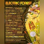 Electric Forest