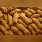 El Chingon Fort Worth