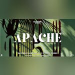 Washington DC Concerts & Events