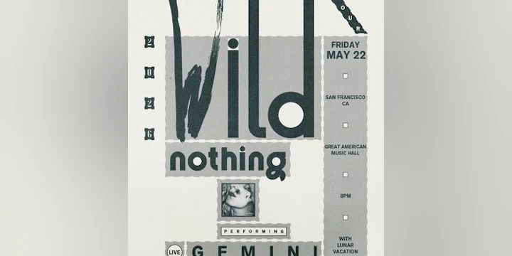 Wild Nothing