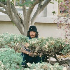 Music Hall Of Williamsburg