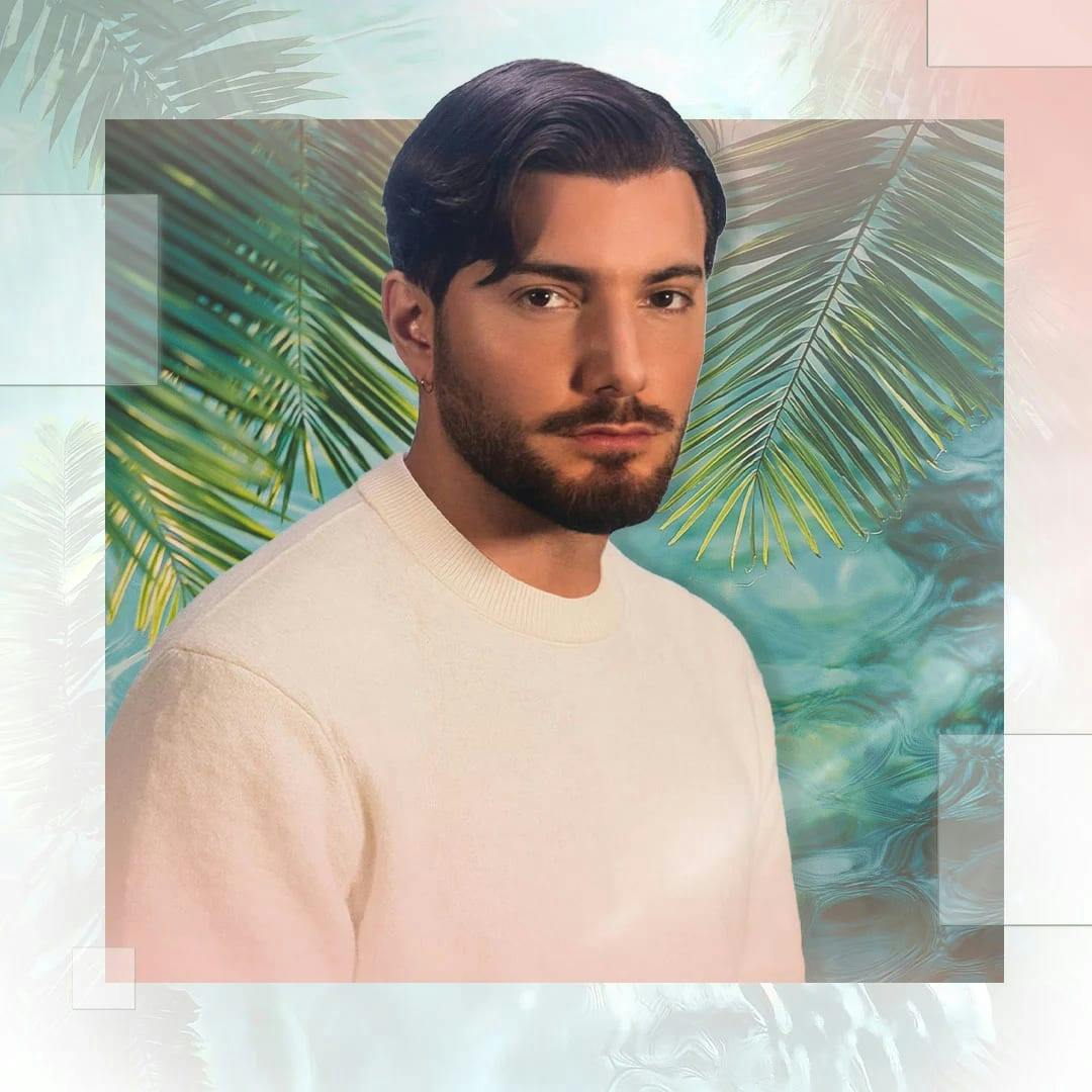 Palm Tree Beach Club