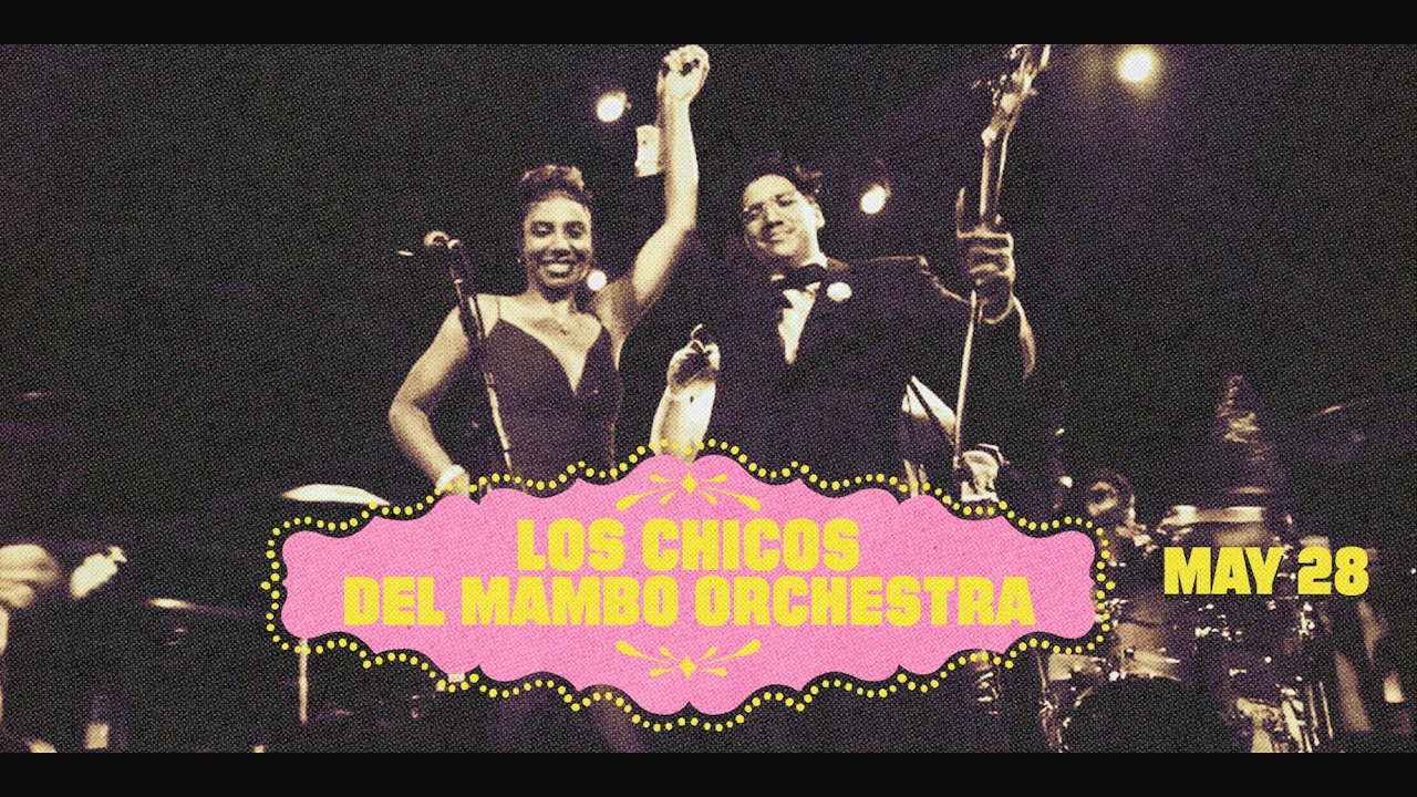 Los Chicos Del Mambo Orchestra