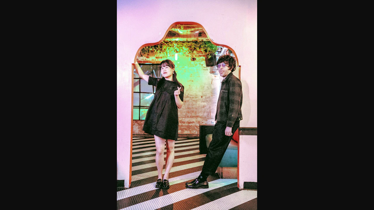 Chinese American Bear