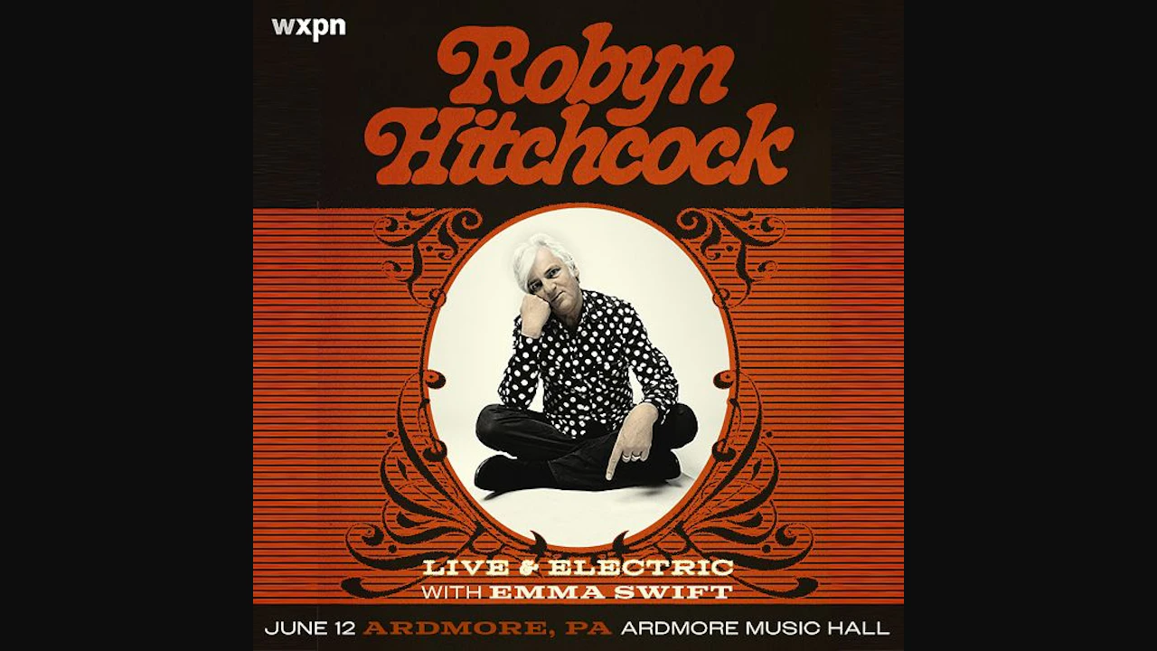 Robyn Hitchcock