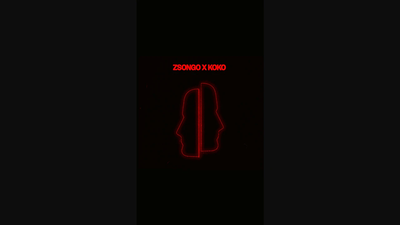 Zsongo: 2wobunnies