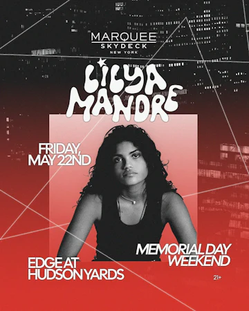 Marquee Skydeck At Hudson Yards