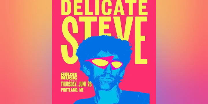 Delicate Steve