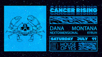 House Of Yes