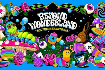 Beyond Wonderland