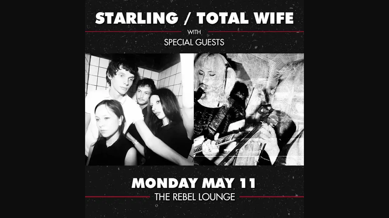 Starling / Total Wife