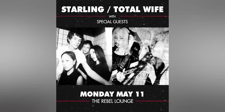 Starling / Total Wife
