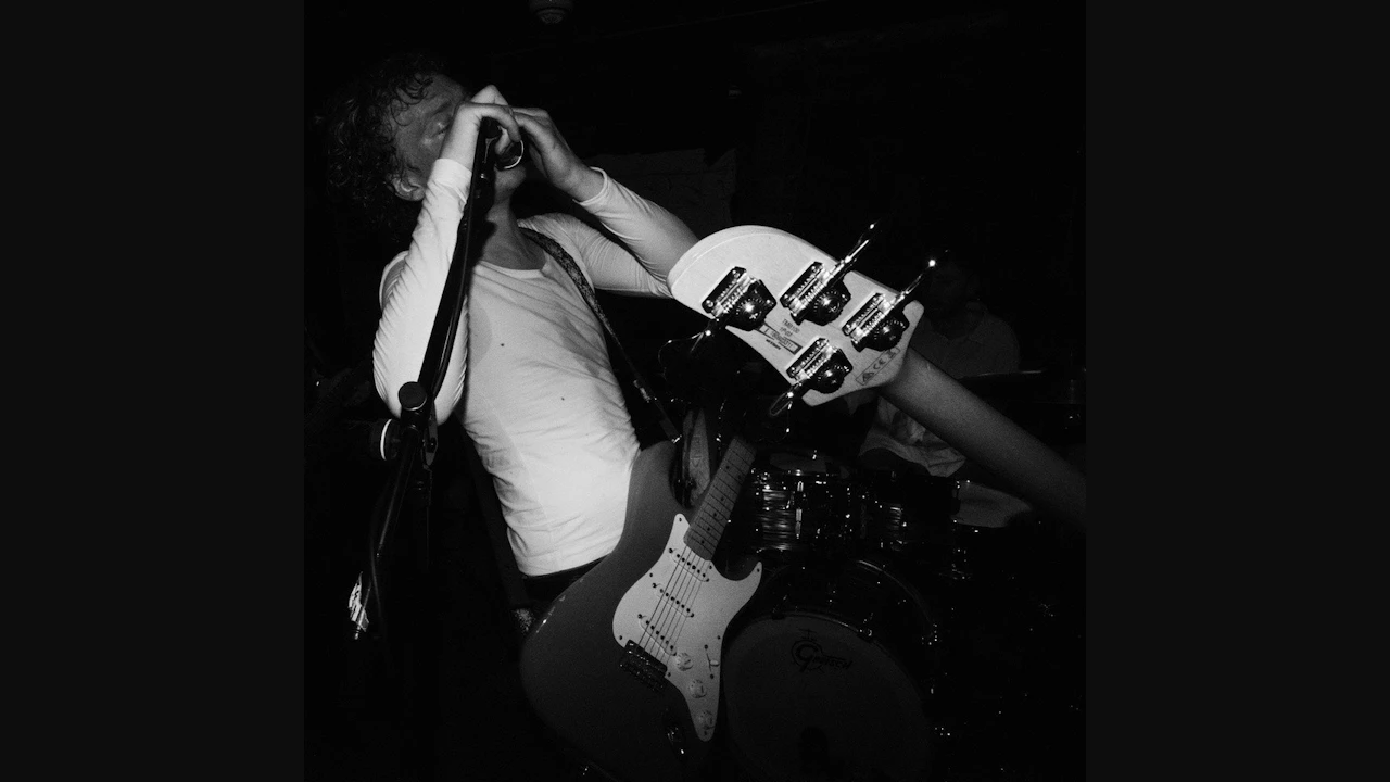 Sweet Return + Evergreen + Leo Walrus