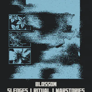 Blossom