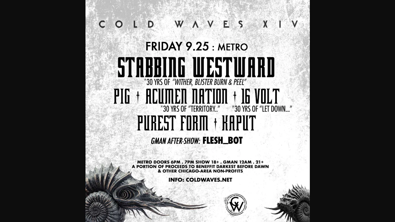 Cold Waves Xiv Featuring Stabbing Westward