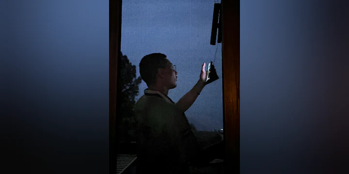 glamer: Organ Tapes + Gal:la